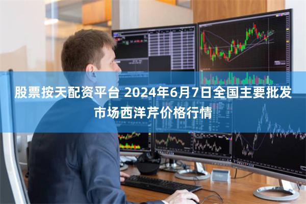 股票按天配资平台 2024年6月7日全国主要批发市场西洋芹价格行情