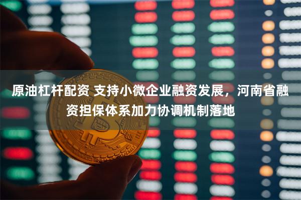 原油杠杆配资 支持小微企业融资发展，河南省融资担保体系加力协调机制落地