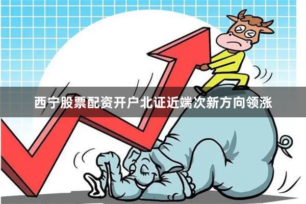 西宁股票配资开户北证近端次新方向领涨